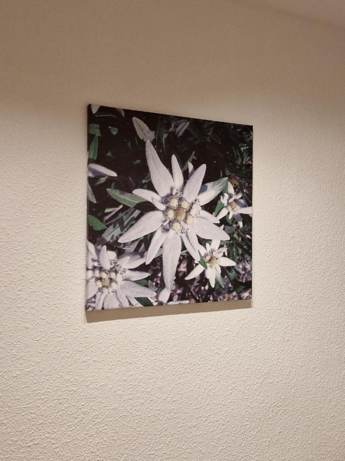 Apartamento Flor De Nieve Jaca Exterior foto